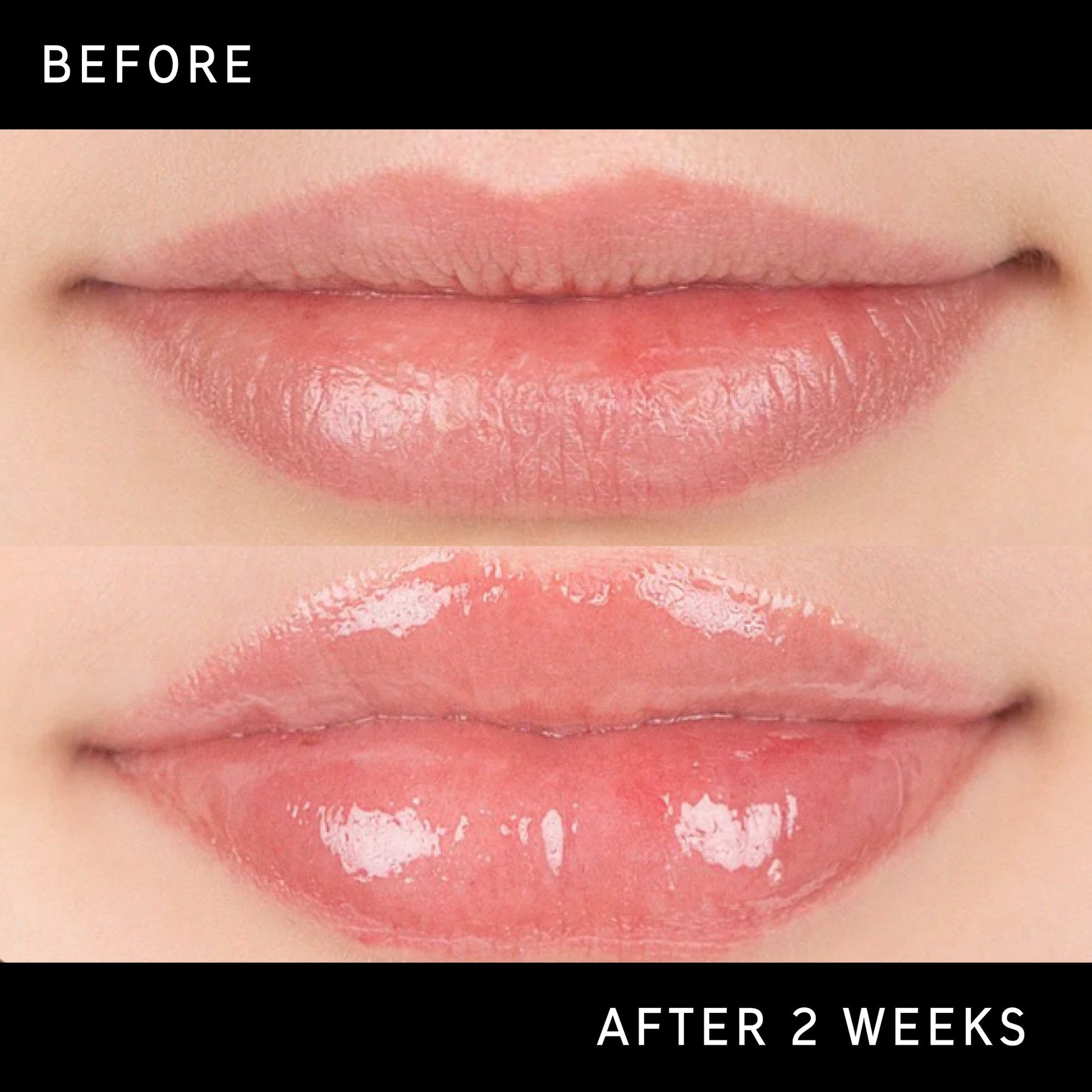 tripeptide-plumping-lip-balm-o8 DTC-Top15_Amends_Tripeptide-Lip_B_A.jpg